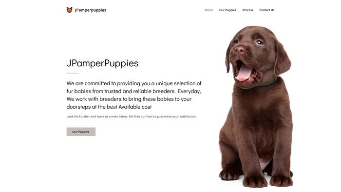 Jpamperpuppies.com - French Bulldog Puppy Scam Review