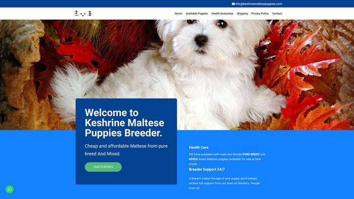 Keshrinemaltesepuppies.com - Maltese Puppy Scam Review