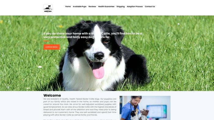 Kingsleybordercolliepups.com - Bordercollie Puppy Scam Review