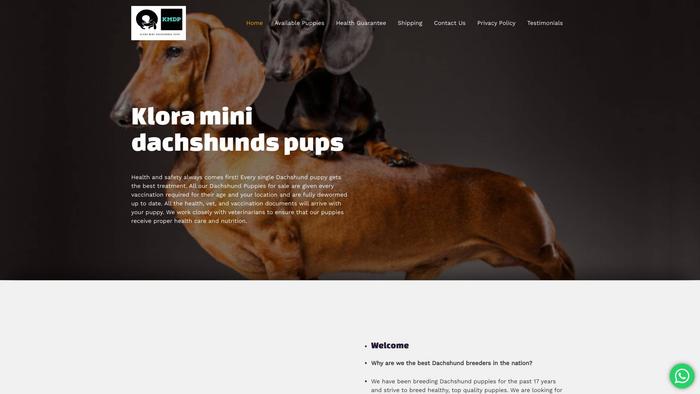 Kloraminidachshundpups.com - Dachshund Puppy Scam Review