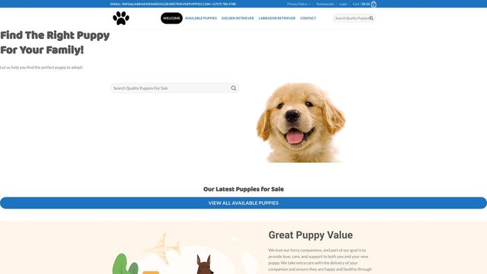 Labradorandgoldenretrieverpuppies.com - Golden Retriever Puppy Scam Review