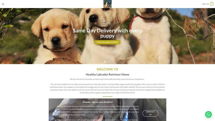 Labradorpuppz.xyz - Labrador Puppy Scam Review