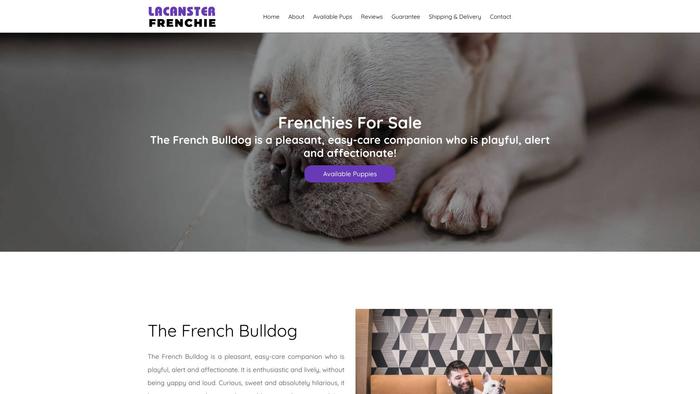 Lacansterfrenchie.com - French Bulldog Puppy Scam Review