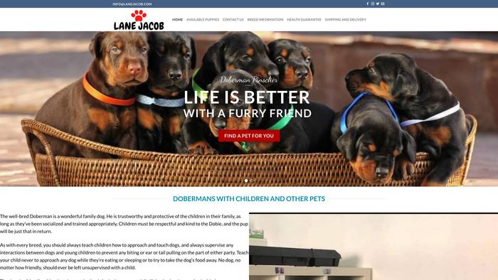 Lanejacob.com - Doberman Pinscher Puppy Scam Review