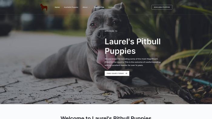 Laurelspitbullpuppies.com - Pit Bull Puppy Scam Review