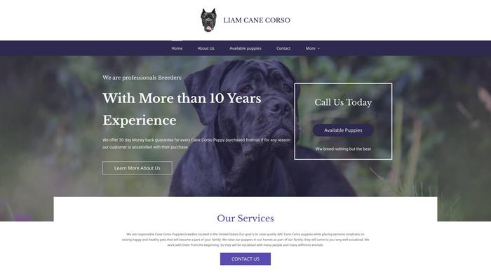 Liamscanecorso.com - Cane Corso Puppy Scam Review