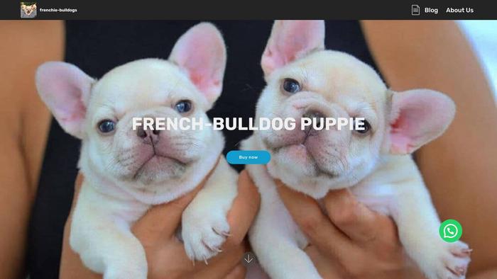 Lovefrenchbulldog.com - French Bulldog Puppy Scam Review