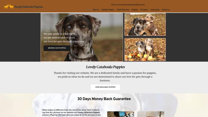 Lovelycatahoulapuppies.com - Labrador Puppy Scam Review