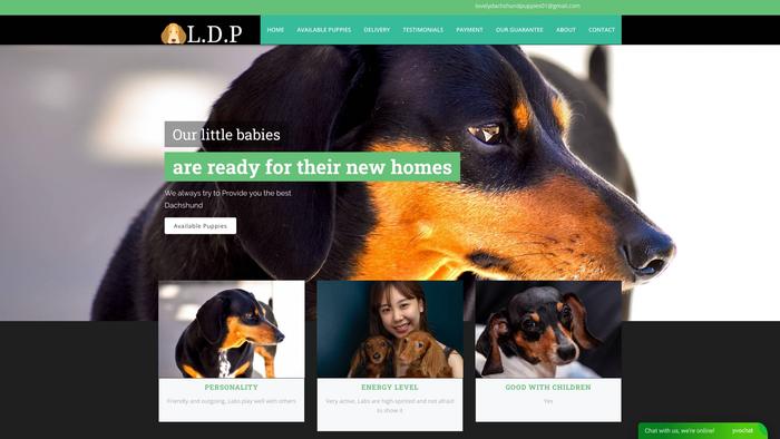 Lovelydachshundpuppies.com - Dachshund Puppy Scam Review