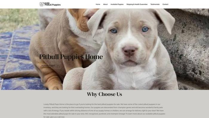 Lovelypitbullshomes.com - Pit Bull Puppy Scam Review