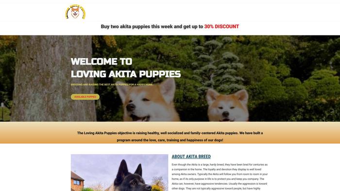 Lovingakitapuppies.com - Akita Puppy Scam Review