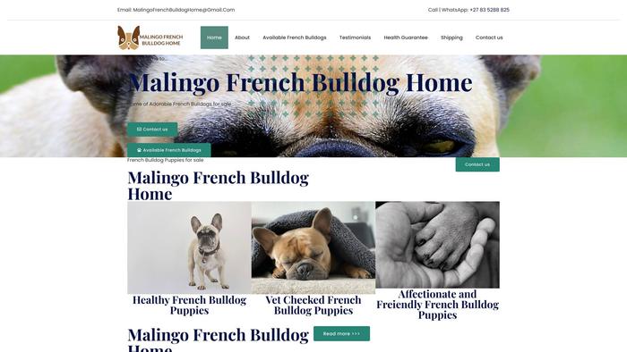 Malingofrenchbulldoghome-sa.com - French Bulldog Puppy Scam Review