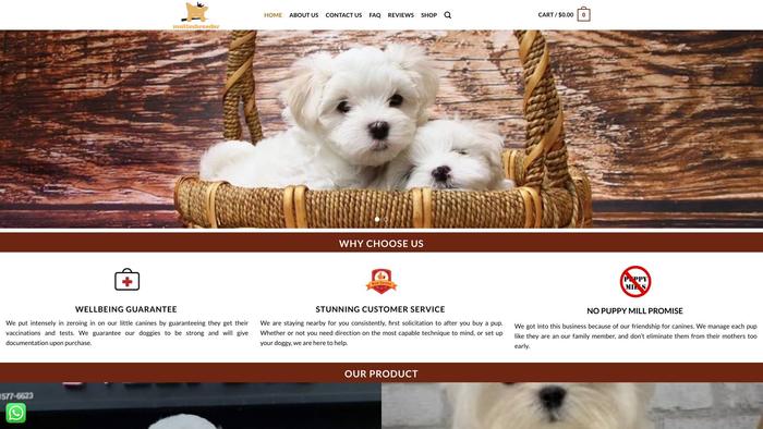 Maltesbreeder.com - Maltese Puppy Scam Review