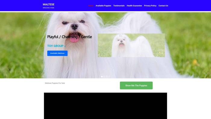 Maltesebreedinghome.com - Maltese Puppy Scam Review