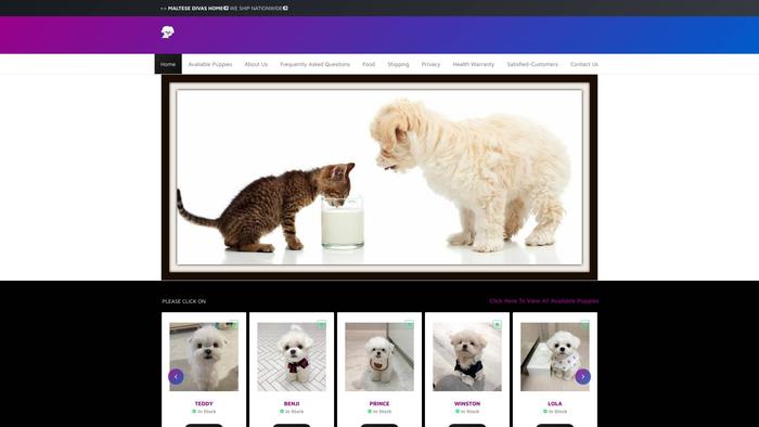 Maltesedivas.site - Maltese Puppy Scam Review