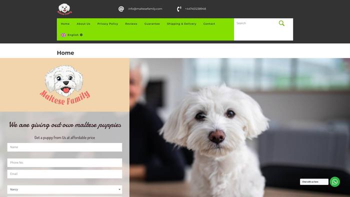 Maltesefamily.com - Maltese Puppy Scam Review