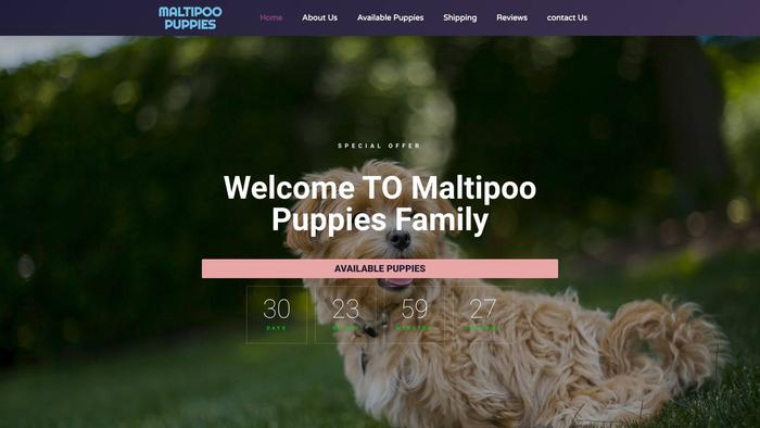 Maltipoo-pups.com - Maltipoo Puppy Scam Review