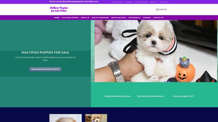 Maltipoopuppiesforsaleonline.com - Maltipoo Puppy Scam Review