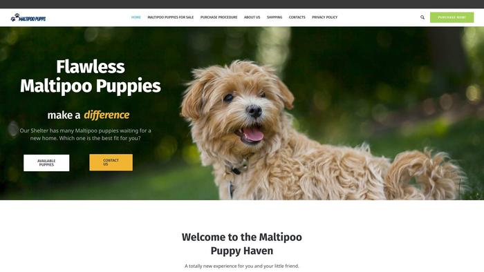 Maltipoopuppiesheaven.com - Maltipoo Puppy Scam Review