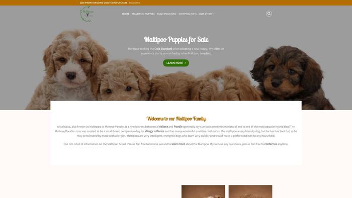 Maltipoopuppiesnearme.com - Maltipoo Puppy Scam Review