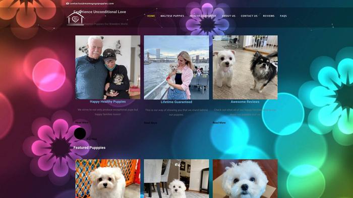 Mamayoyopuppies.com - Maltese Puppy Scam Review