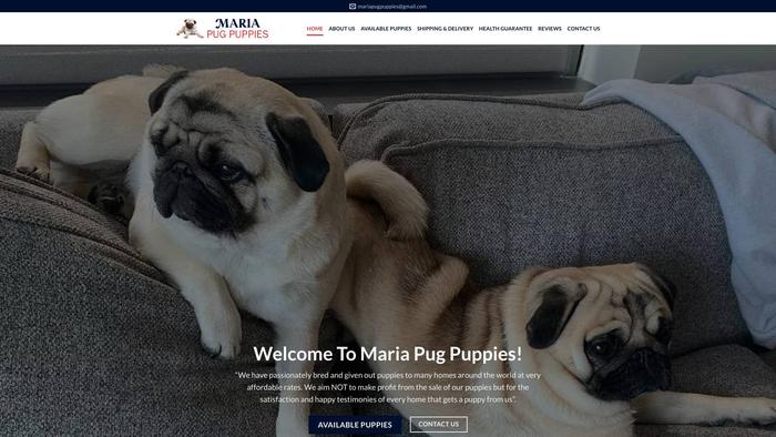 Mariapugpuppies.com - Pug Puppy Scam Review