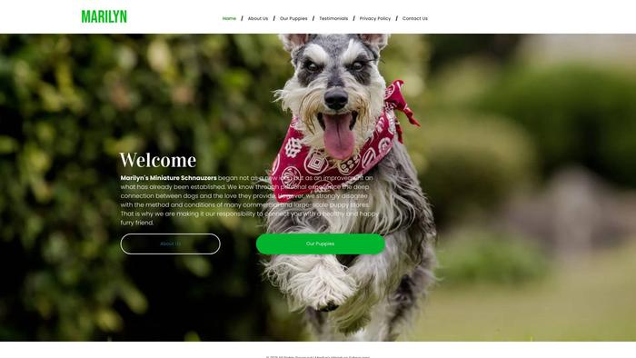 Marilynsminiatureschnauzers.com - Schnauzer Puppy Scam Review