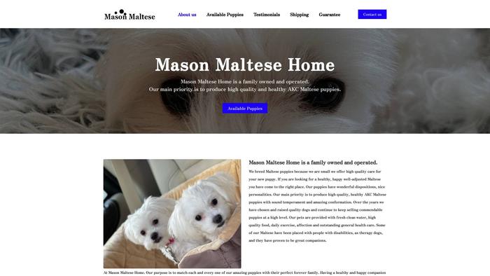 Masonmaltesehome.com - Maltese Puppy Scam Review