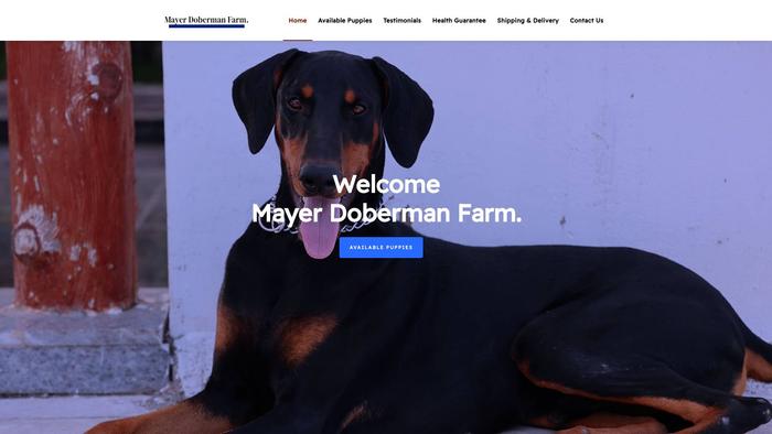 Mayerdobermanfarm.com - Doberman Pinscher Puppy Scam Review