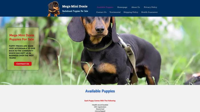 Megaminidoxie.com - Dachshund Puppy Scam Review