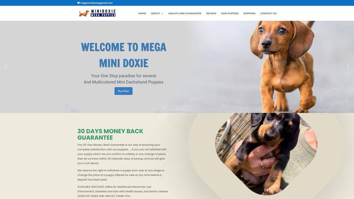 Megaminidoxiepuppies.com - Dachshund Puppy Scam Review