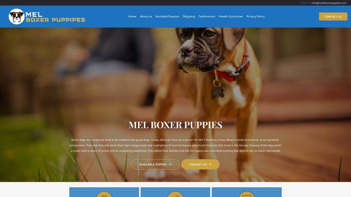 Melboxerpuppies.com - Boxer Puppy Scam Review