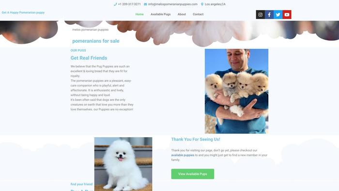 Melospomeranianpuppies.com - Pomeranian Puppy Scam Review