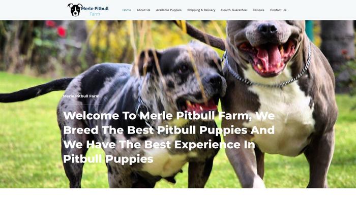 Merlepitbullfarm.com - Pit Bull Puppy Scam Review