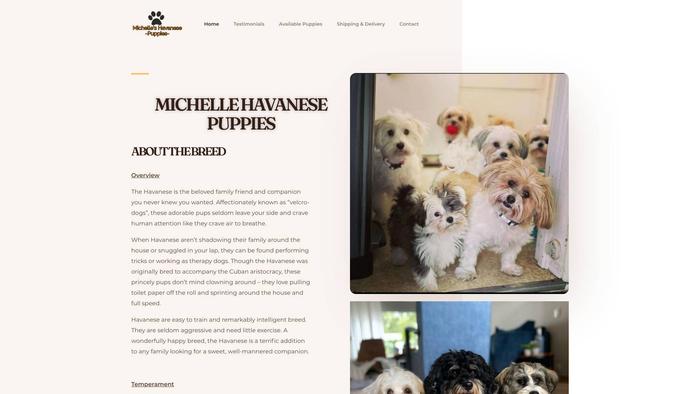 Michellehavanesepuppies.com - Bernedoodle Puppy Scam Review