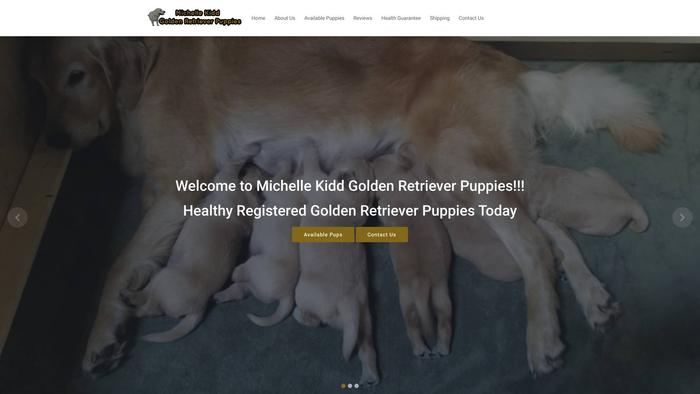 Michellekiddgoldenretrieverpuppies.com - Golden Retriever Puppy Scam Review