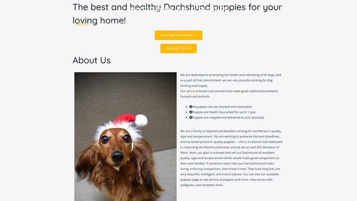 Mikedachshundpuppies.com - Dachshund Puppy Scam Review