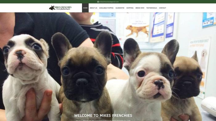 Mikesfrenchies.com - French Bulldog Puppy Scam Review