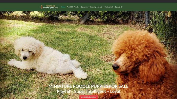 Miniaturepoodlebreeders.com - Poodle Puppy Scam Review