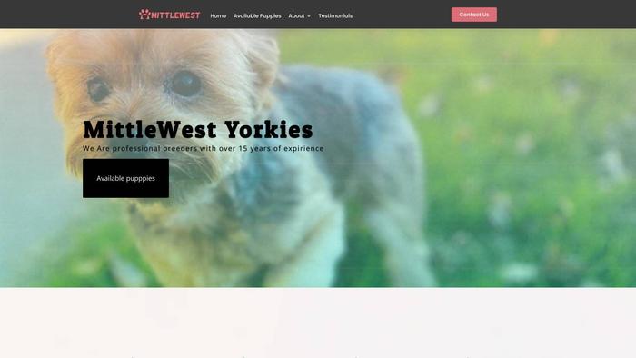 Mittlewestyorkies.com - Yorkshire Terrier Puppy Scam Review