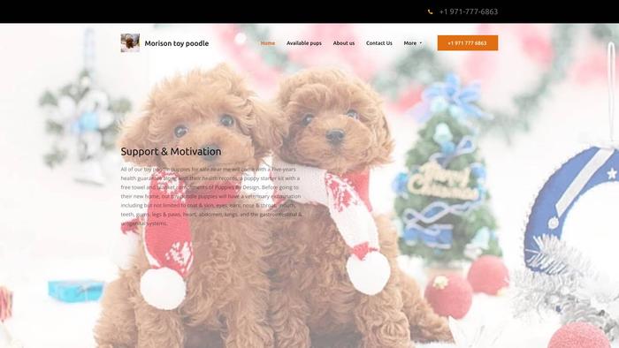 Morisontoypoodlehome.com - Poodle Puppy Scam Review