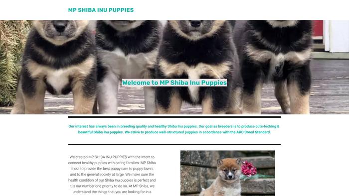 Mpshibainupuppies.site - Shibhainu Puppy Scam Review