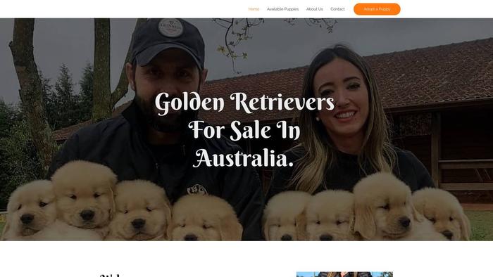 Mrgoldenretriever.com - Golden Retriever Puppy Scam Review