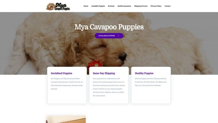 Myacavapoopuppies.com - Cavapoo Puppy Scam Review