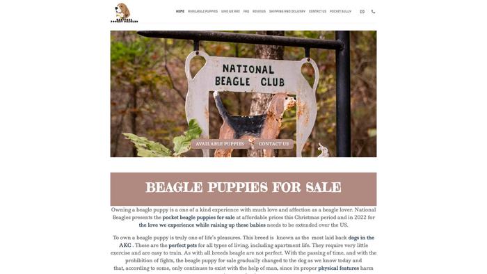 Nationalpocketbeagles.com - Beagle Puppy Scam Review