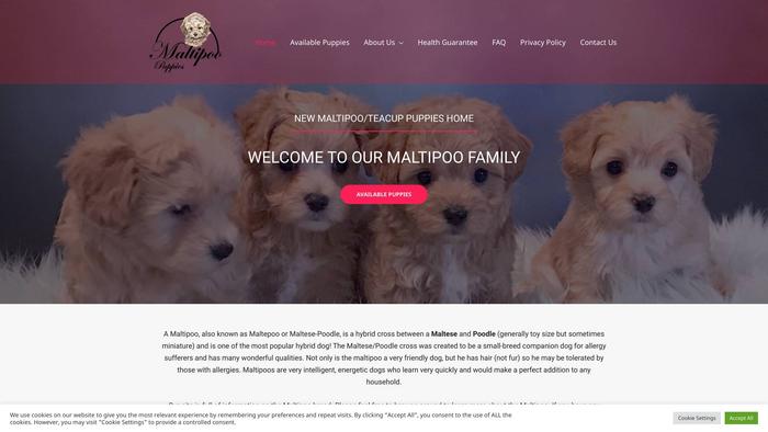 Newmaltipoopuppies.online - Maltipoo Puppy Scam Review