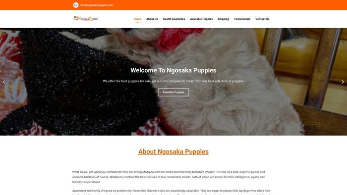 Ngosakapuppies.com - Cavapoo Puppy Scam Review