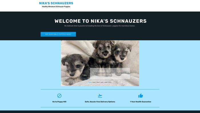 Nikasschnauzers.net - Schnauzer Puppy Scam Review