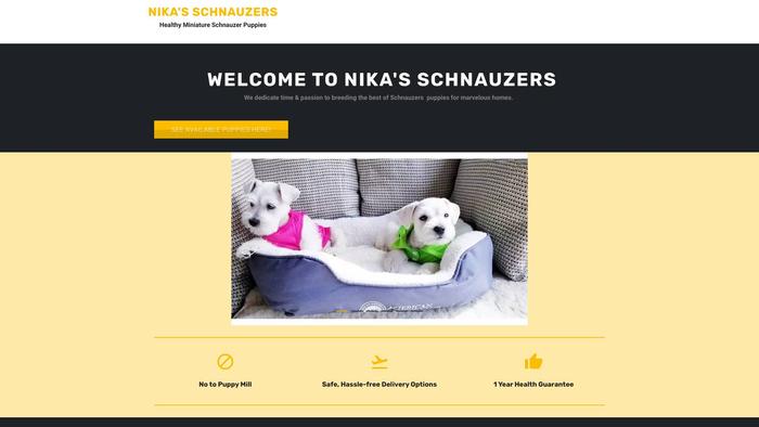 Nikasschnauzers.online - Schnauzer Puppy Scam Review