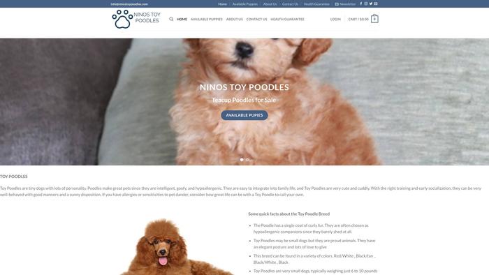 Ninostoypoodles.com - Poodle Puppy Scam Review